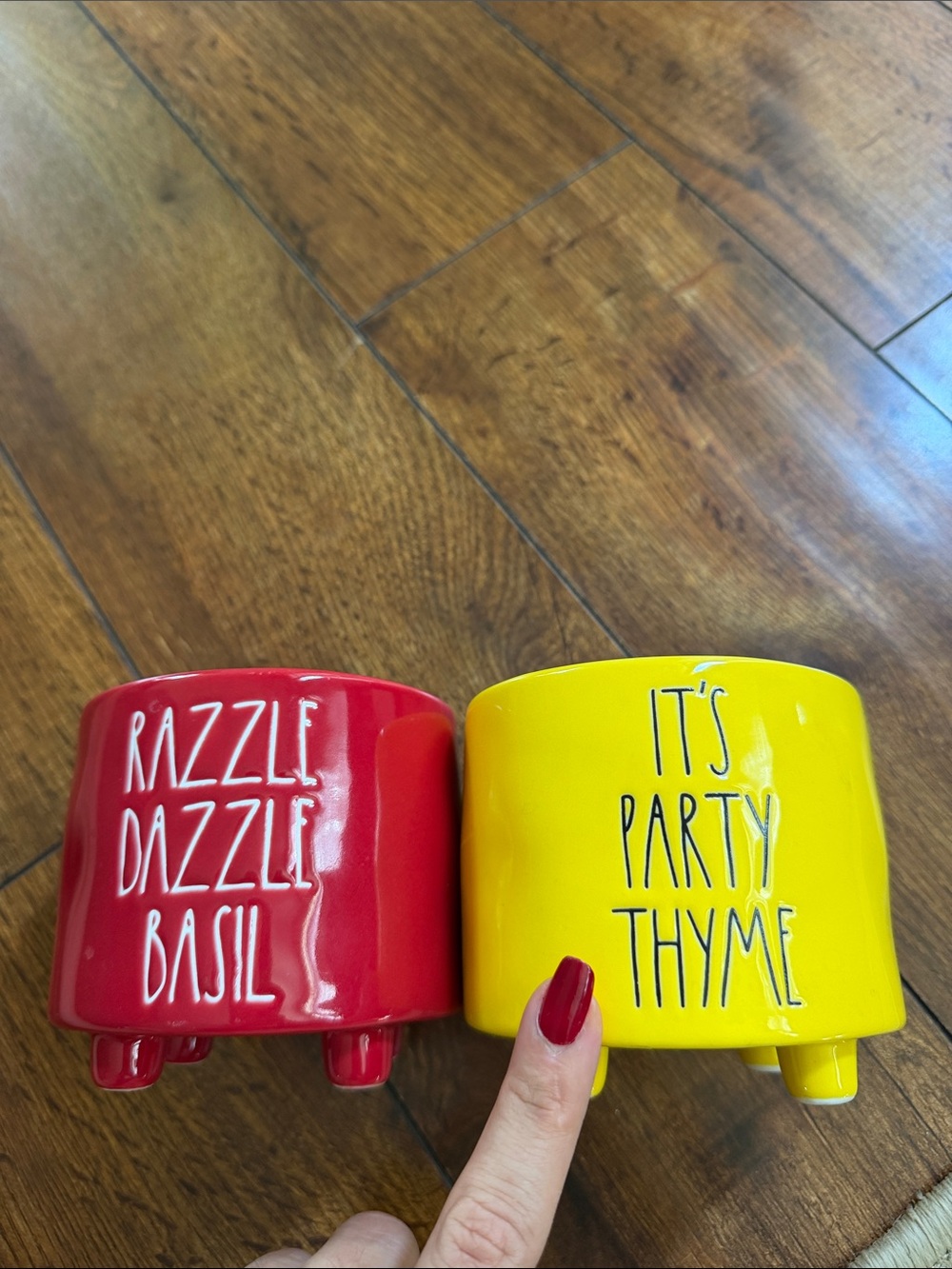 Rae Dunn Plant pots 2